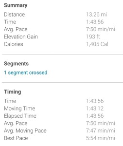 Screen grab of Garmin's numbers for my race.