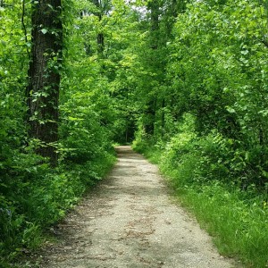 blendon woods trail -- achieving millennial